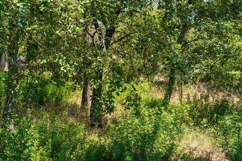 Helårsgrund i Alcobaca, Leiria, Alcobaca - € 42.000 | Ref: SF-SAFTI:007186 - foto 9