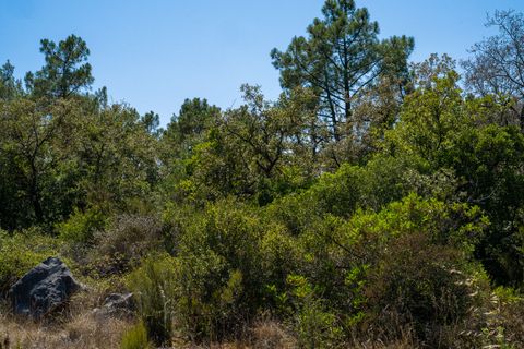 Helårsgrund i Alcobaca, Leiria, Alcobaca - € 42.000 | Ref: SF-SAFTI:007186 - foto 10