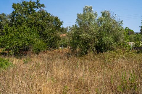 Helårsgrund i Alcobaca, Leiria, Alcobaca - € 42.000 | Ref: SF-SAFTI:007186 - foto 11
