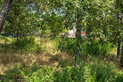 Helårsgrund i Alcobaca, Leiria, Alcobaca - € 42.000 | Ref: SF-SAFTI:007186 - foto 13