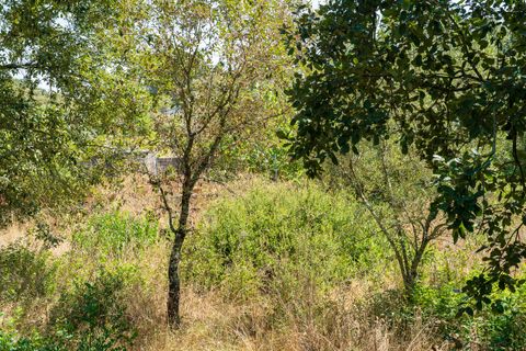 Helårsgrund i Alcobaca, Leiria, Alcobaca - € 42.000 | Ref: SF-SAFTI:007186 - foto 14