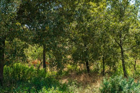 Helårsgrund i Alcobaca, Leiria, Alcobaca - € 42.000 | Ref: SF-SAFTI:007186 - foto 15