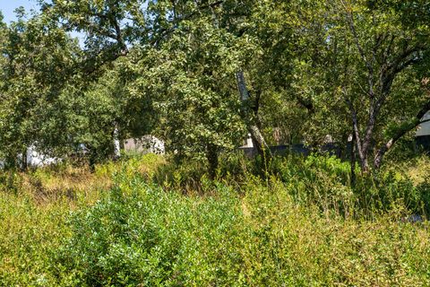 Helårsgrund i Alcobaca, Leiria, Alcobaca - € 42.000 | Ref: SF-SAFTI:007186 - foto 16