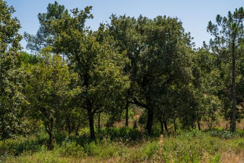 Helårsgrund i Alcobaca, Leiria, Alcobaca - € 42.000 | Ref: SF-SAFTI:007186 - foto 17