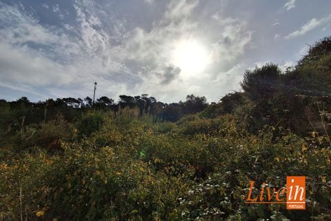 Ruinere i Torres Vedras, Lisbon, Torres Vedras - € 50.000 | Ref: 9801AA - foto 1