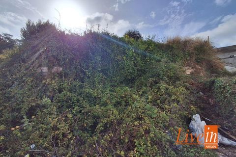 Ruinere i Torres Vedras, Lisbon, Torres Vedras - € 50.000 | Ref: 9801AA - foto 3