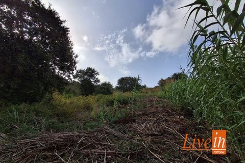 Ruinere i Torres Vedras, Lisbon, Torres Vedras - € 50.000 | Ref: 9801AA - foto 6