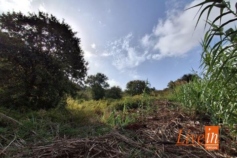 Ruinere i Torres Vedras, Lisbon, Torres Vedras - € 50.000 | Ref: 9801AA - foto 7