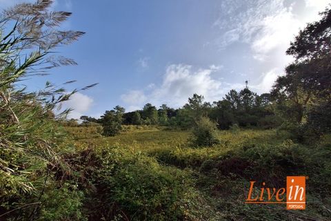 Ruinere i Torres Vedras, Lisbon, Torres Vedras - € 50.000 | Ref: 9801AA - foto 8