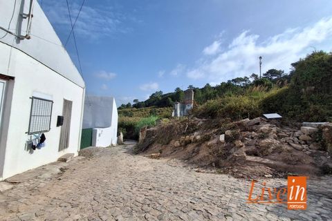 Ruinere i Torres Vedras, Lisbon, Torres Vedras - € 50.000 | Ref: 9801AA - foto 13