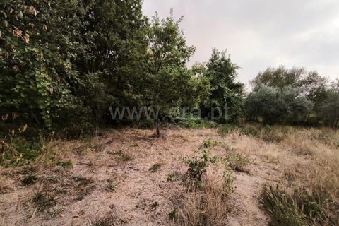 Terra a Nelas, Viseu, Nelas - € 22.000 | Ref: 389250190 - foto 5