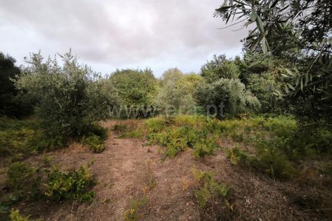 Terra a Nelas, Viseu, Nelas - € 22.000 | Ref: 389250190 - foto 8