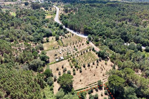 Terreno en Nelas, Viseu, Nelas - € 22.000 | Ref: 389250190 - photo 1