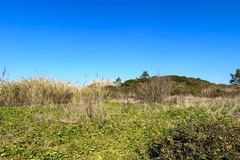 Helårsgrund i Santo Onofre e Serra do Bouro, Leiria, Santo Onofre e Serra do Bouro - € 120.000 | Ref: BL1201 - foto 2