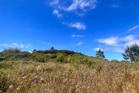 Helårsgrund i Santo Onofre e Serra do Bouro, Leiria, Santo Onofre e Serra do Bouro - € 120.000 | Ref: BL1201 - foto 3