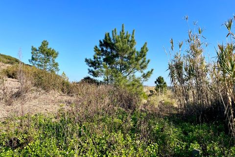 Helårsgrund i Santo Onofre e Serra do Bouro, Leiria, Santo Onofre e Serra do Bouro - € 120.000 | Ref: BL1201 - foto 4