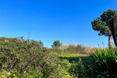 Helårsgrund i Santo Onofre e Serra do Bouro, Leiria, Santo Onofre e Serra do Bouro - € 120.000 | Ref: BL1201 - foto 5
