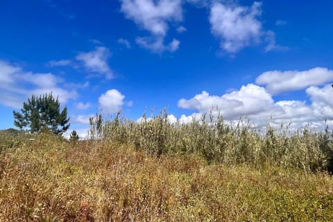 Helårsgrund i Santo Onofre e Serra do Bouro, Leiria, Santo Onofre e Serra do Bouro - € 120.000 | Ref: BL1201 - foto 6