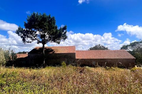 Helårsgrund i Santo Onofre e Serra do Bouro, Leiria, Santo Onofre e Serra do Bouro - € 120.000 | Ref: BL1201 - foto 7