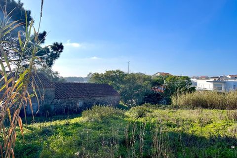 Helårsgrund i Santo Onofre e Serra do Bouro, Leiria, Santo Onofre e Serra do Bouro - € 120.000 | Ref: BL1201 - foto 8