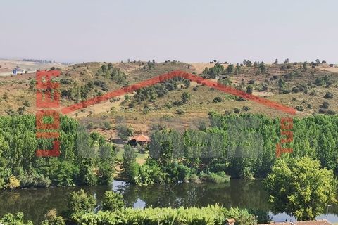 Villa i Mirandela, Braganca, Mirandela - € 599.000 | Ref: 0942 - foto 3