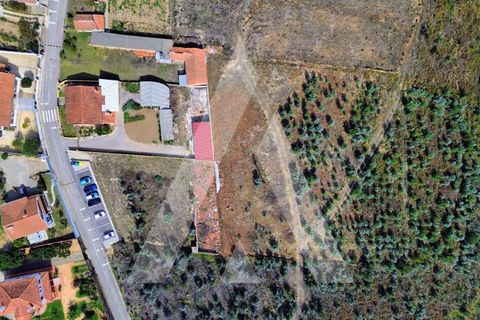 Terra a Branca, Aveiro, Branca - € 25.000 | Ref: 1060951/25 AL - foto 6