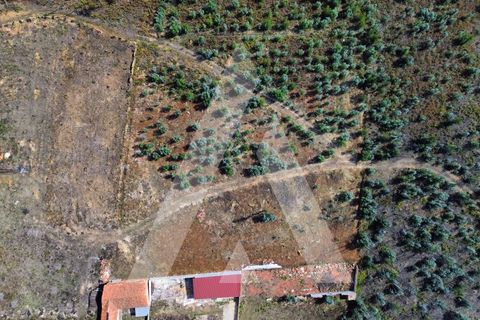 Terra a Branca, Aveiro, Branca - € 25.000 | Ref: 1060951/25 AL - foto 7