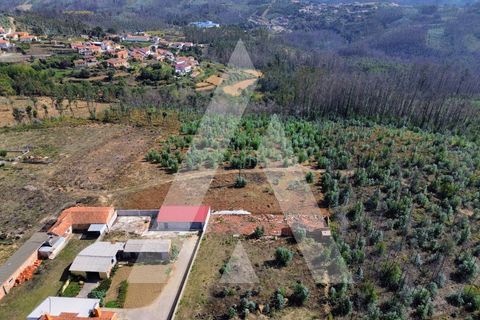 Terra a Branca, Aveiro, Branca - € 25.000 | Ref: 1060951/25 AL - foto 8