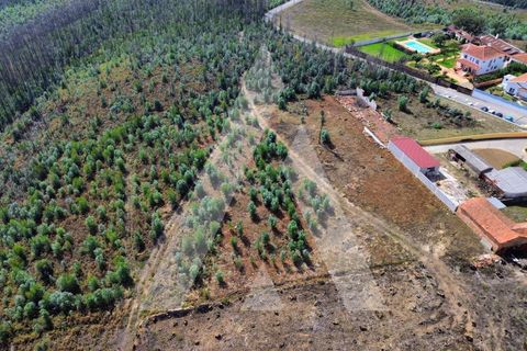 Terra a Branca, Aveiro, Branca - € 25.000 | Ref: 1060951/25 AL - foto 9