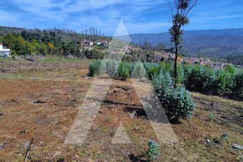 Terra a Branca, Aveiro, Branca - € 25.000 | Ref: 1060951/25 AL - foto 12