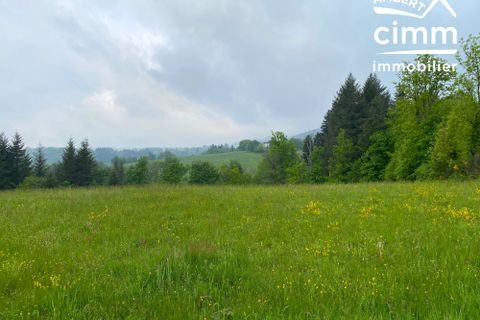 Helårsgrund i Vertolaye, Puy-de-Dome, Vertolaye - € 25.000 | Ref: 330-CIMMIMMO - foto 2
