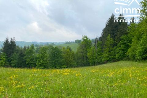 Helårsgrund i Vertolaye, Puy-de-Dome, Vertolaye - € 25.000 | Ref: 330-CIMMIMMO - foto 3
