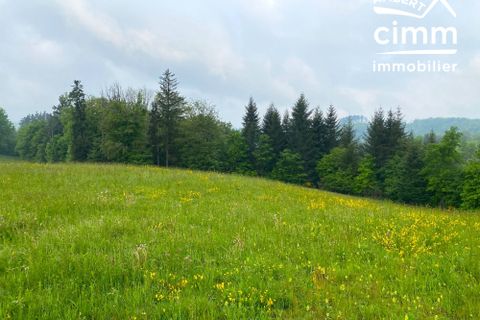 Helårsgrund i Vertolaye, Puy-de-Dome, Vertolaye - € 25.000 | Ref: 330-CIMMIMMO - foto 4