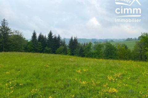 Helårsgrund i Vertolaye, Puy-de-Dome, Vertolaye - € 25.000 | Ref: 330-CIMMIMMO - foto 5