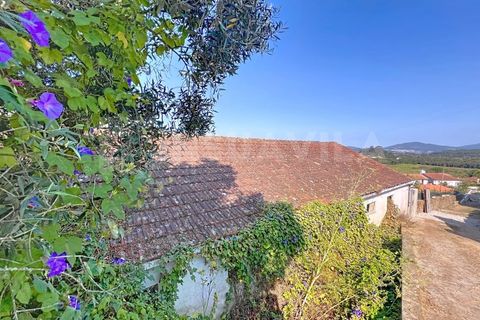 Villa i Venade e Azevedo, Viana do Castelo, Venade e Azevedo - € 98.000 | Ref: 2698 - foto 7