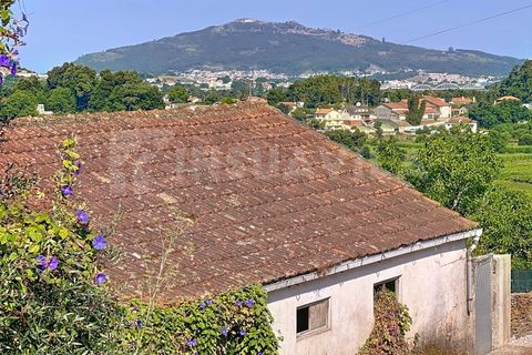 Villa i Venade e Azevedo, Viana do Castelo, Venade e Azevedo - € 98.000 | Ref: 2698 - foto 13