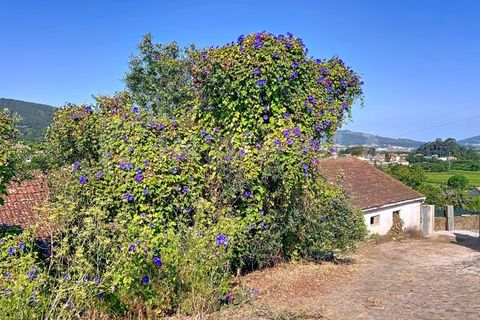 Villa i Venade e Azevedo, Viana do Castelo, Venade e Azevedo - € 98.000 | Ref: 2698 - foto 14