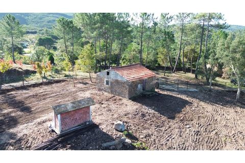 Helårsgrund i Venade e Azevedo, Viana do Castelo, Venade e Azevedo - € 250.000 | Ref: 2349 - foto 10