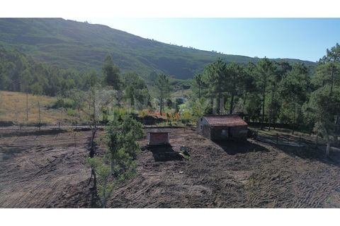 Helårsgrund i Venade e Azevedo, Viana do Castelo, Venade e Azevedo - € 250.000 | Ref: 2349 - foto 11