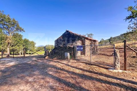 Helårsgrund i Venade e Azevedo, Viana do Castelo, Venade e Azevedo - € 250.000 | Ref: 2349 - foto 12