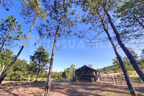 Helårsgrund i Venade e Azevedo, Viana do Castelo, Venade e Azevedo - € 250.000 | Ref: 2349 - foto 14