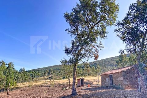 Helårsgrund i Venade e Azevedo, Viana do Castelo, Venade e Azevedo - € 250.000 | Ref: 2349 - foto 15