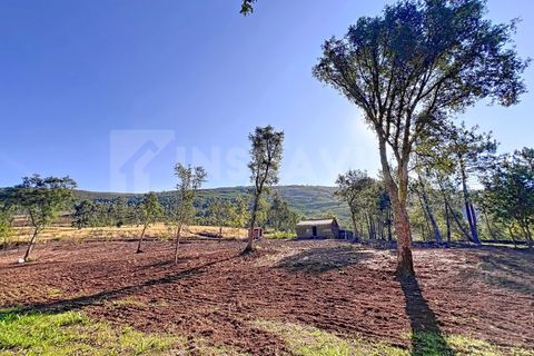 Helårsgrund i Venade e Azevedo, Viana do Castelo, Venade e Azevedo - € 250.000 | Ref: 2349 - foto 17