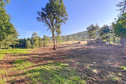 Helårsgrund i Venade e Azevedo, Viana do Castelo, Venade e Azevedo - € 250.000 | Ref: 2349 - foto 18