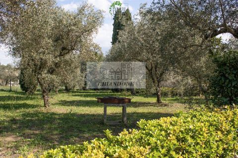 Villa i Morlupo, Rome, Morlupo - € 440.000 | Ref: 90216 - foto 41