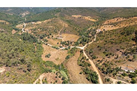 Terra a Marmelete, Faro, Marmelete - € 1.200.000 | Ref: T030 - foto 7