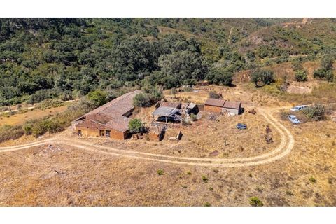 Terra a Marmelete, Faro, Marmelete - € 1.200.000 | Ref: T030 - foto 11