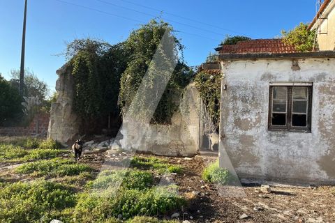 Helårsgrund i Ilhavo, Aveiro, Ilhavo - € 85.000 | Ref: 1021193/25 FR - foto 3