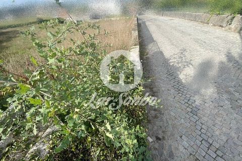 Helårsgrund i Trofa, Porto, Trofa - € 138.000 | Ref: 240-T-25918 - foto 7