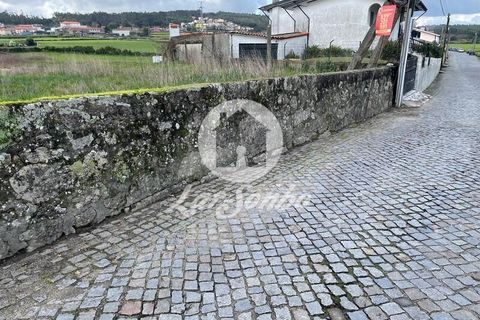 Helårsgrund i Trofa, Porto, Trofa - € 138.000 | Ref: 240-T-25918 - foto 16